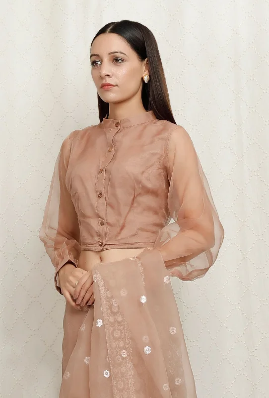 Beige Pure Banarasi Organza Sheer Sleeve Blouse Double Button Blouse